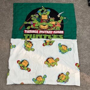 Teenage Mutant Ninja Turtles Comforter Set, Twin Size